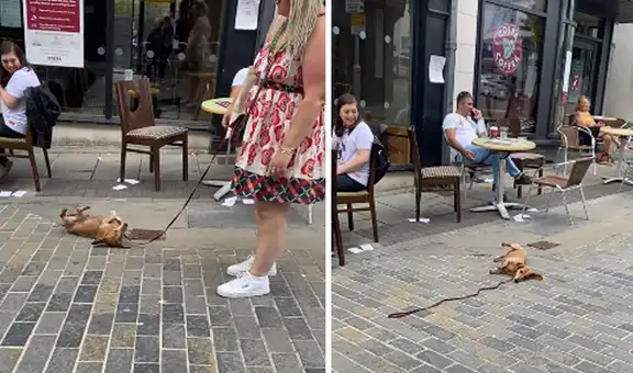 Perro no quiere acabar con su paseo y le hace ‘berrinche’ a su dueña para no ir a casa