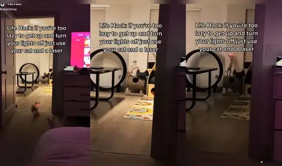Joven comparte divertido truco para que su gato apague la luz de la habitación