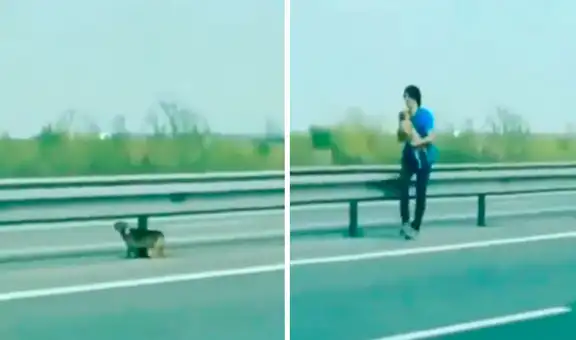 Joven salva la vida de perrito que estaba atrapado en medio de la carretera