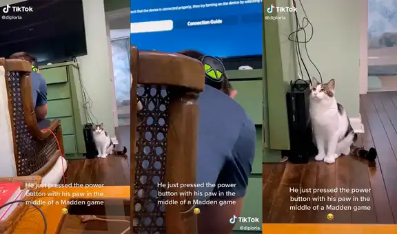 Gato apaga la consola de videojuegos de su dueño y se detiene a observar su reacción