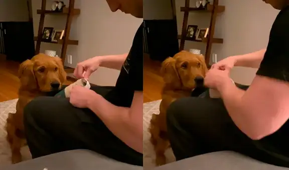 Hombre conmueve con cuidadosa manera para tratar las heridas de su querida perrita