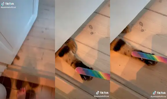 Mujer sorprende con hilarante forma que tiene para limar las garras de su gatito