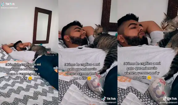 Gato muestra tierno comportamiento al emocionarse por la visita del novio de su dueña