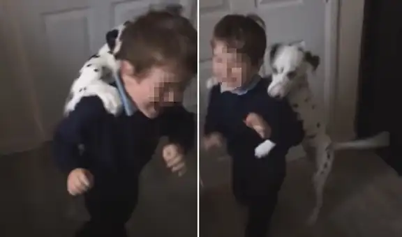 Perro trata de impedir a toda costa que el hijo de su dueña se vaya a clases