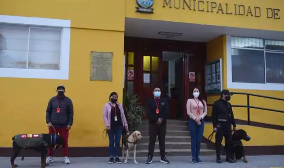 Municipalidad de Lurín adopta a perritos callejeros y los integra a la brigada canina