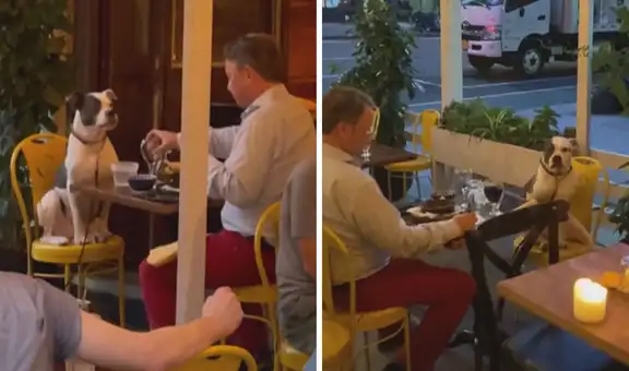Hombre acude a restaurante con su perrito y comparten una cena juntos