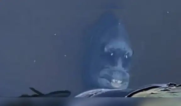 Joven visita muelle y graba a un pez que tiene un aspecto muy peculiar