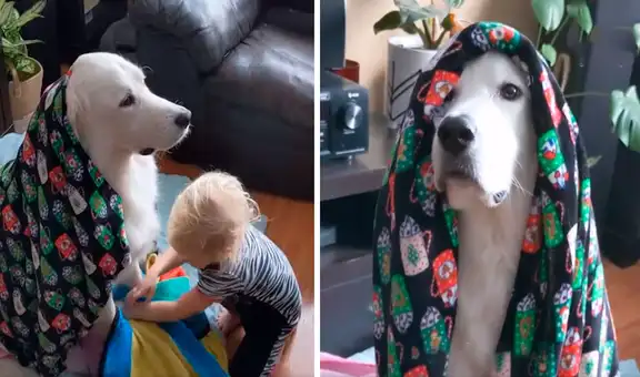 Pequeña protege a su perro con sus frazadas para evitar que sufra por el frío