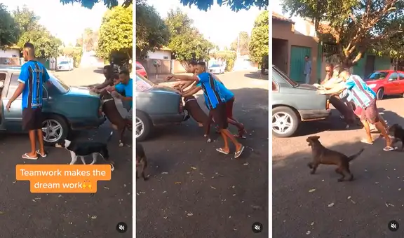 Perrito ‘ayuda’ a grupo de jóvenes a empujar un auto varado en medio de la pista