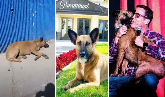 Vida de Hollywood: cuatro años de Steve-O con Wendy, perrita que rescató en Perú