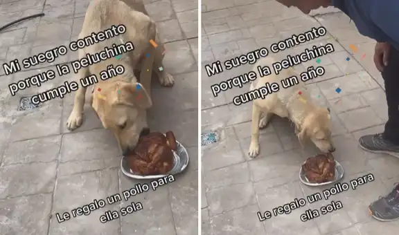 Hombre le compra un pollo a la brasa entero a su perrita por el día de su cumpleaños