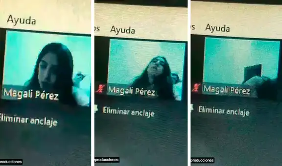 Gato tiene una forma muy particular de llamar la atención de su dueña en clase virtual