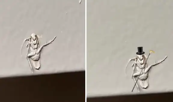 Encuentra a cucaracha ‘embalsamada’ entre la pared y la pintura e imagen desata hilarantes memes