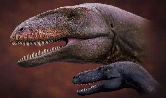 Descubren que el tiranosaurio rex no siempre estuvo en la cúspide de la cadena alimentaria