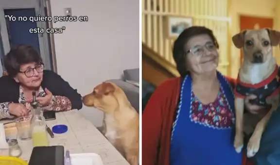 Mujer no quería perros, pasa el tiempo y se convierte inseparable de la cachorra de su hijo