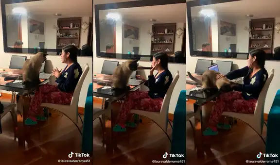Joven realizaba una exposición y su gatito pensó que iba a jugar con él