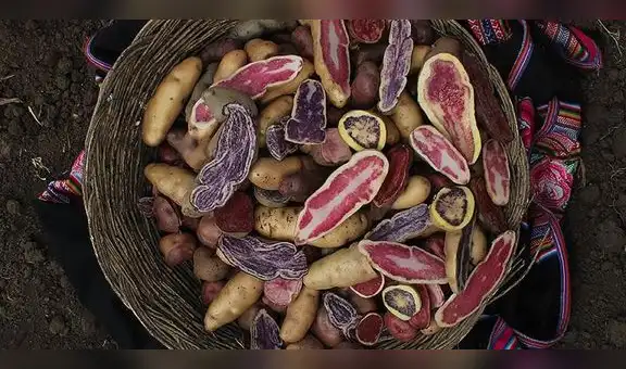 Marca peruana de papas chips nacida en la pandemia ya se exporta a EE UU y Suiza