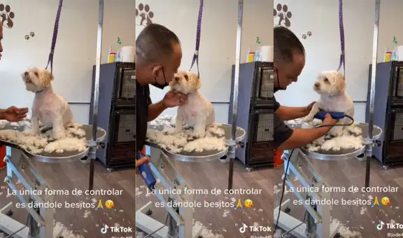 Perrita ‘reniega’ cuando le cortan su pelo y solo se calma cuando el peluquero le da un besito