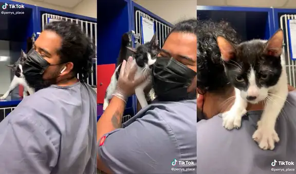 Veterinario muestra que el gatito que rescató no quiere separarse de su lado