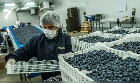 Lambayeque, Cajamarca, Amazonas y Tumbes solo aportan entre 0,5% a 2,6% al PBI