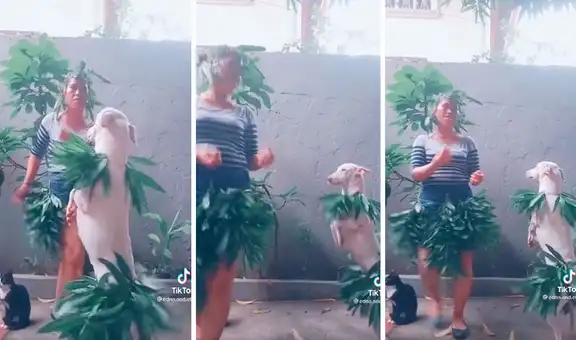 Mujer disfraza a su can para caracterizar una adorable coreografía de TikTok