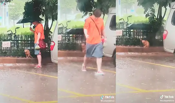 Joven encuentra a un gato en medio de la lluvia y le regala su paraguas para que se refugie