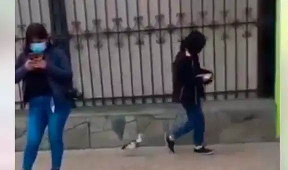 Mujer sale de casa y su pato la sigue detrás como un fiel compañero