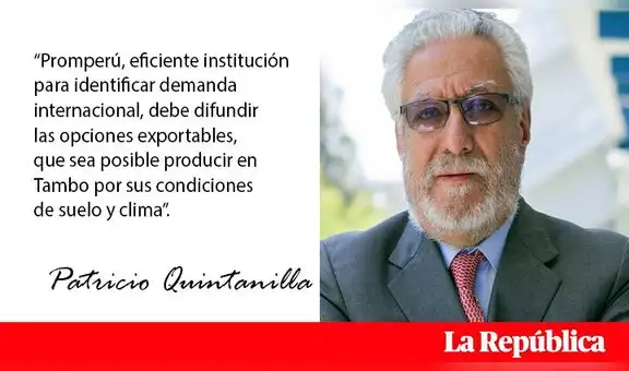 ¿Islay tiene opciones?