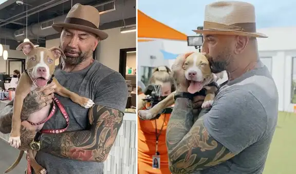 Dave Bautista adoptó a perro maltratado y ofrece recompensa para dar con culpables