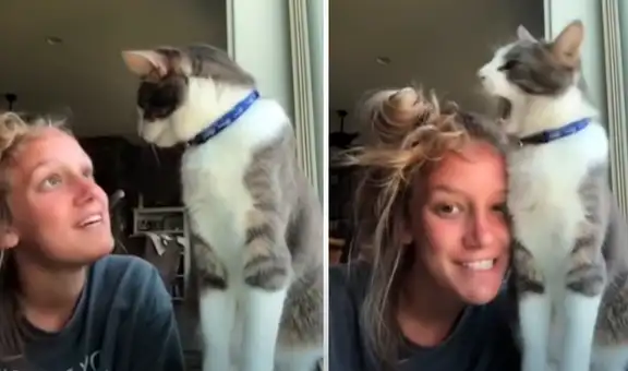 Joven intenta grabar un video junto a su gato, pero este la deja en ridículo