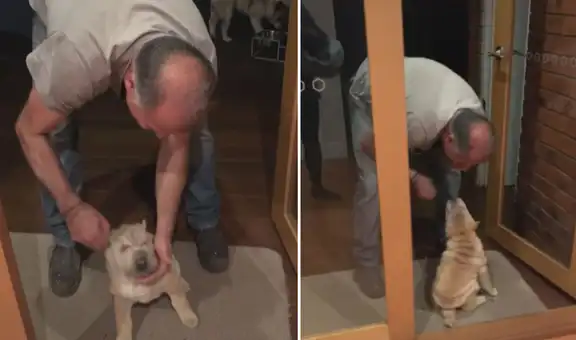 Papá no quería perros en casa y tiempo después lo descubren consintiendo a su cachorro