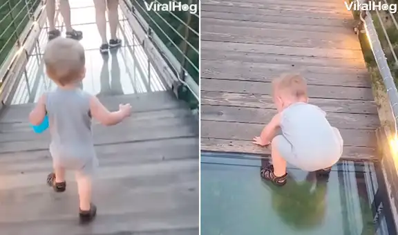 Pequeño niño decide retroceder al sentir temor de cruzar un puente de cristal