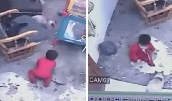 Gatita salva la vida al bebé de su dueña que estuvo a punto de caer por las escaleras