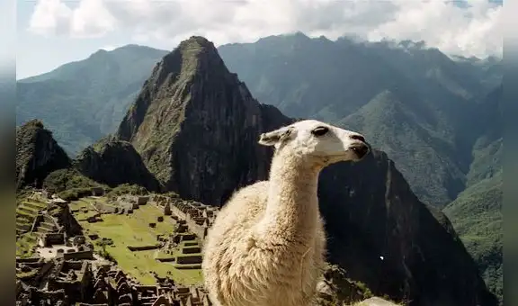Cusco recupera 644 millones de dólares gracias al turismo solo en el tercer trimestre