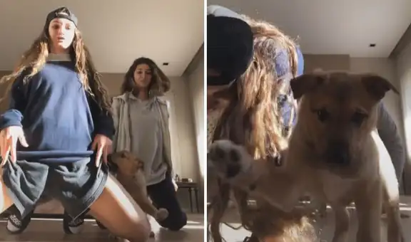 Jóvenes intentan hacer trend de baile para TikTok, pero su perrito lo arruina todo