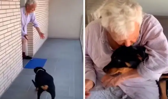 Joven lleva a su perrita hasta la casa de su abuelo para que vuelvan a estar juntos