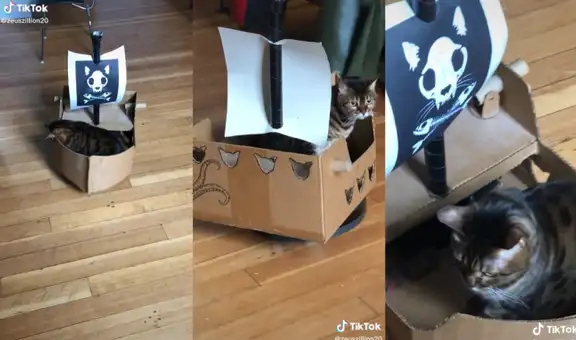Familia construye un barco pirata de cartón para que su gatito se divierta