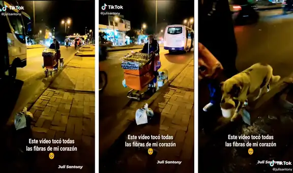 Perrito camina al lado de su dueño mientras lo ‘ayuda’ en su trabajo
