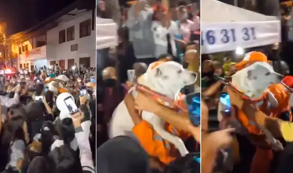 Con masiva celebración festejan el regreso de un perro que estuvo perdido durante una semana 