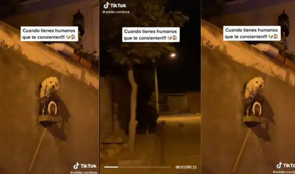 Familia peruana construye balcón privado a su perrito y resultado sorprende a cibernautas