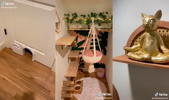 Joven muestra cómo decora un cuarto de su hogar para el uso exclusivo de su gatito