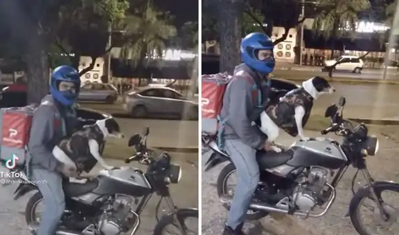 Perrito acompaña a su dueño mientras trabaja como repartidor de delivery