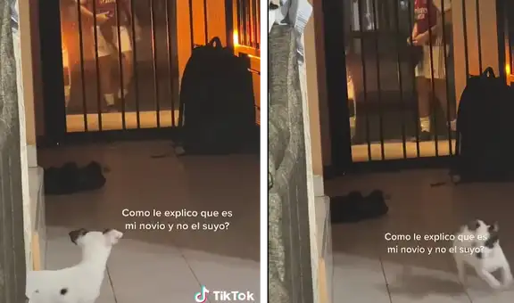 Ocurrente perrita se emociona al ver al novio de su dueña en la puerta de su casa