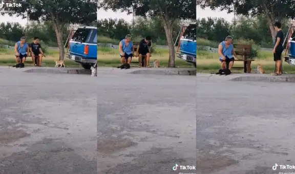 Padre hace petición a su hijo para que desocupe un asiento y que su gato se siente junto a él