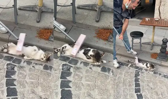 Gatito callejero disfruta de los masajes que un hombre le da con el cepillo de una escoba