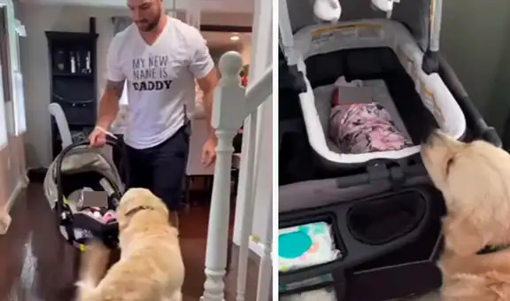 Perrito muestra una adorable reacción al conocer al bebé de su dueño por primera vez 