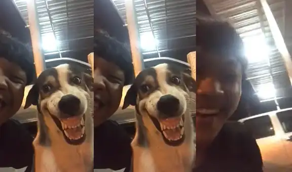 Perrito que imitaba graciosa sonrisa de hombre tuvo inesperada reacción
