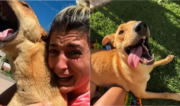 Joven se reencuentra con su perrito desaparecido tras 100 días e historia se vuelve viral