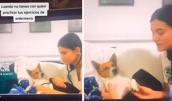 Perrito ayuda a su dueña al convertirse en su paciente durante sus prácticas de enfermería 