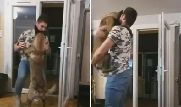 Perro se emociona cada vez que ve llegar a su amo y lo recibe con efusivo abrazo